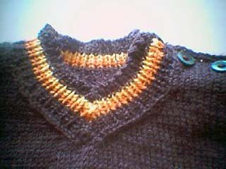 Leijonapaidan kaulus