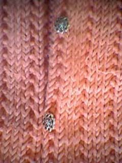 Mallineule l&auml;hikuvassa