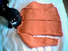 Neuletakki Maxi-langasta ja Maxi-kissa